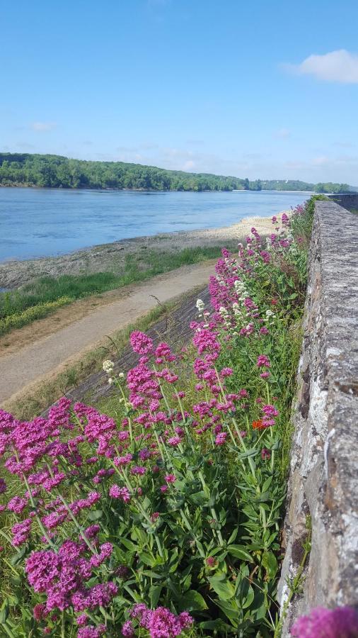 Le Cosy Loire Appart Lejlighed Les Rosiers Eksteriør billede